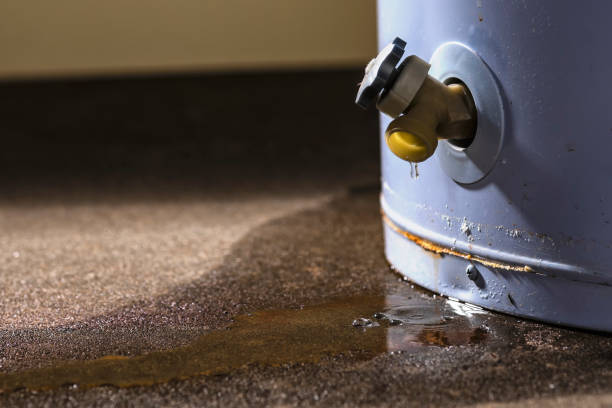 Best Water damage restoration near me  in Micco, FL