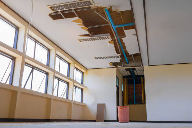 Best Water damage restoration near me  in Micco, FL