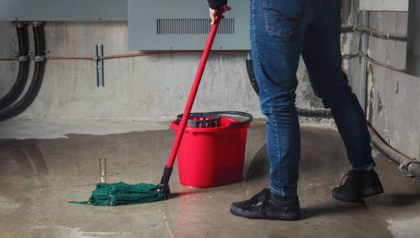 Best Water damage contractors near me  in Micco, FL