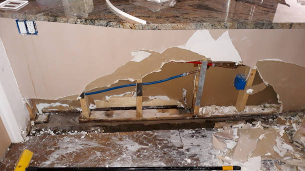 Best Flooded house restoration  in Micco, FL