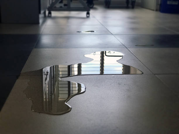 Best Water damage restoration near me  in Micco, FL