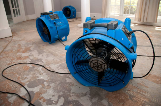 Micco, FL Water damage restoration Company