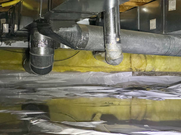 Best Local water damage restoration  in Micco, FL
