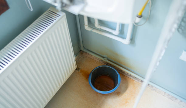 Best Basement water damage restoration  in Micco, FL