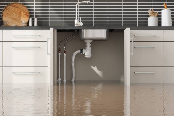 Best Flood restoration services  in Micco, FL